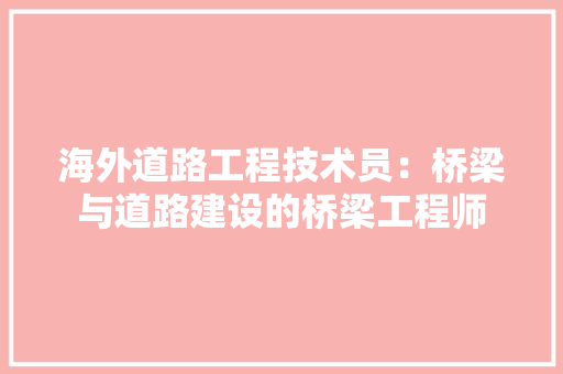 海外道路工程技术员：桥梁与道路建设的桥梁工程师 室内设计
