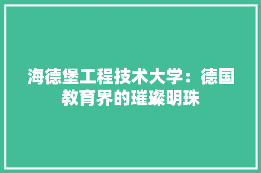 海德堡工程技术大学：德国教育界的璀璨明珠