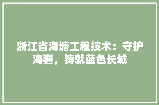 浙江省海塘工程技术：守护海疆，铸就蓝色长城 室内设计