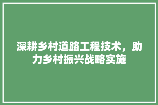 深耕乡村道路工程技术，助力乡村振兴战略实施
