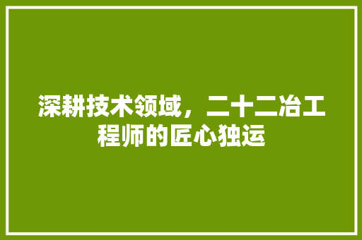 深耕技术领域，二十二冶工程师的匠心独运