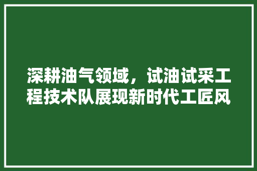 深耕油气领域，试油试采工程技术队展现新时代工匠风采 室内设计