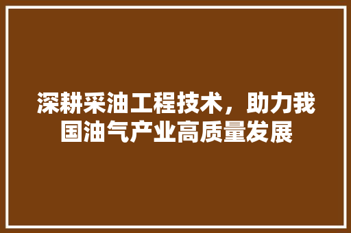 深耕采油工程技术，助力我国油气产业高质量发展 室内设计