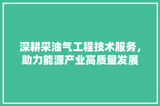 深耕采油气工程技术服务，助力能源产业高质量发展
