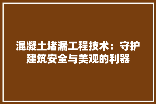 混凝土堵漏工程技术：守护建筑安全与美观的利器 室内设计