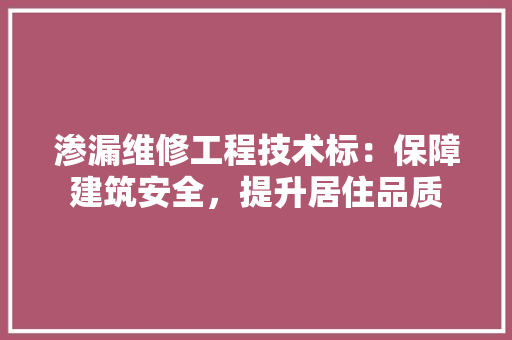 渗漏维修工程技术标：保障建筑安全，提升居住品质