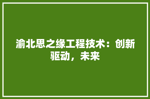 渝北思之缘工程技术：创新驱动，未来 室内设计
