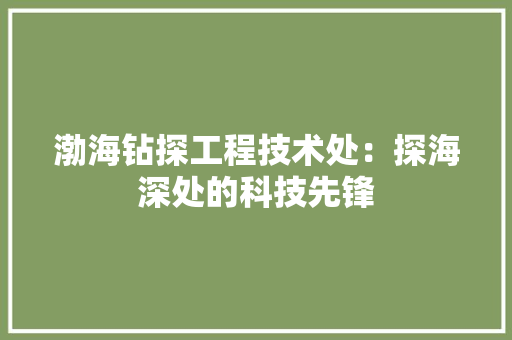 渤海钻探工程技术处：探海深处的科技先锋