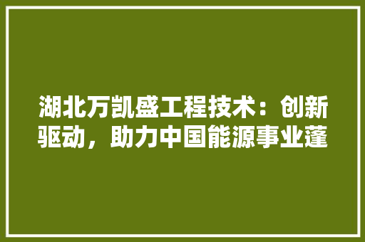 湖北万凯盛工程技术：创新驱动，助力中国能源事业蓬勃发展 室内设计