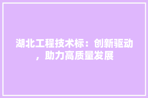 湖北工程技术标：创新驱动，助力高质量发展