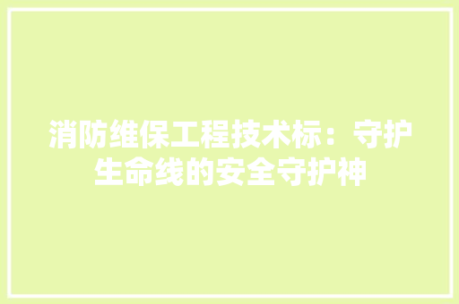消防维保工程技术标：守护生命线的安全守护神 室内设计