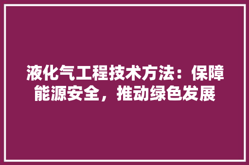 液化气工程技术方法：保障能源安全，推动绿色发展 室内设计