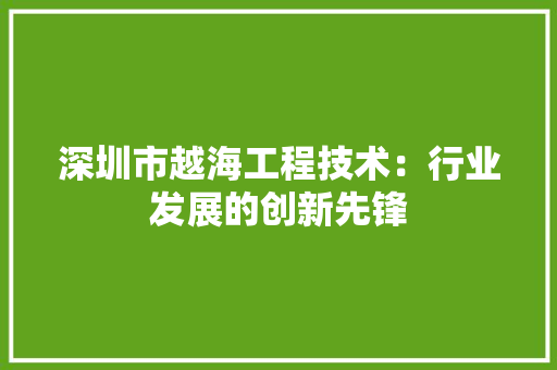 深圳市越海工程技术：行业发展的创新先锋