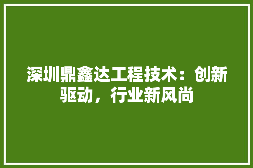 深圳鼎鑫达工程技术：创新驱动，行业新风尚