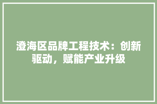 澄海区品牌工程技术：创新驱动，赋能产业升级 室内设计