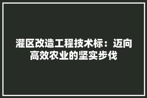 灌区改造工程技术标：迈向高效农业的坚实步伐 室内设计