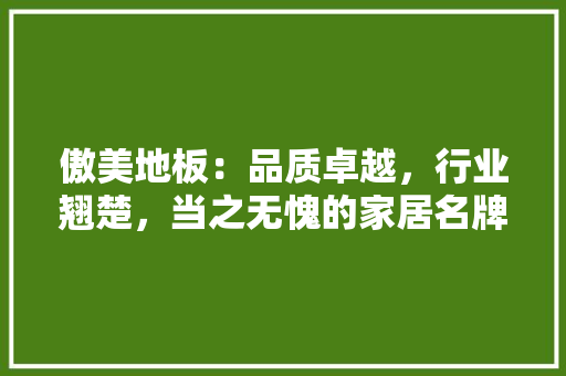 傲美地板：品质卓越，行业翘楚，当之无愧的家居名牌