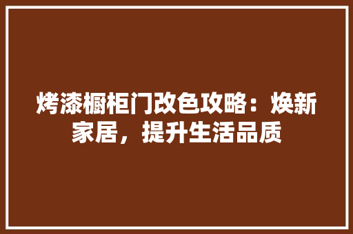 烤漆橱柜门改色攻略：焕新家居，提升生活品质 室内设计