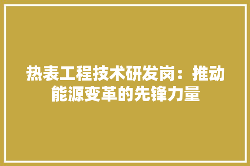 热表工程技术研发岗：推动能源变革的先锋力量 室内设计