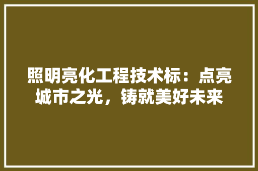 照明亮化工程技术标：点亮城市之光，铸就美好未来