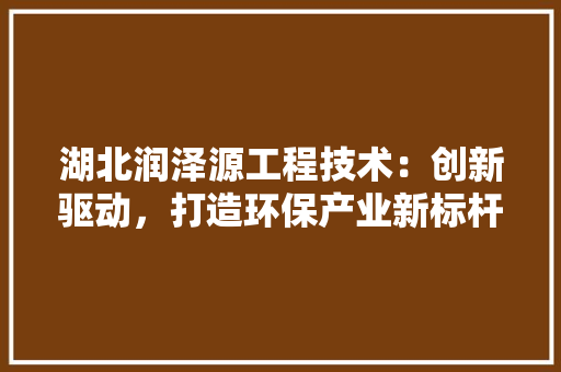 湖北润泽源工程技术：创新驱动，打造环保产业新标杆 室内设计