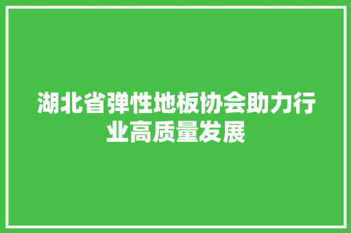 湖北省弹性地板协会助力行业高质量发展 室内设计