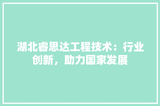 湖北睿思达工程技术：行业创新，助力国家发展