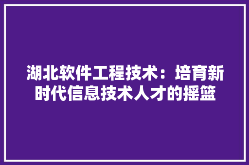 湖北软件工程技术：培育新时代信息技术人才的摇篮