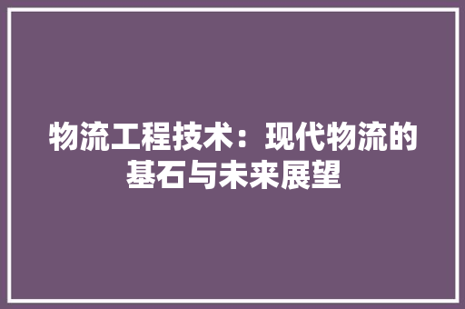 物流工程技术：现代物流的基石与未来展望