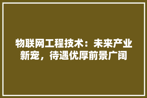 物联网工程技术：未来产业新宠，待遇优厚前景广阔