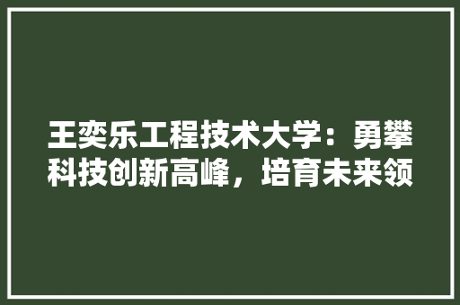 王奕乐工程技术大学：勇攀科技创新高峰，培育未来领军人才 室内设计