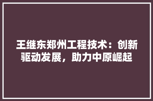 王继东郑州工程技术：创新驱动发展，助力中原崛起