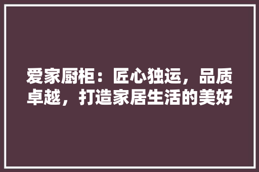爱家厨柜：匠心独运，品质卓越，打造家居生活的美好未来 室内设计