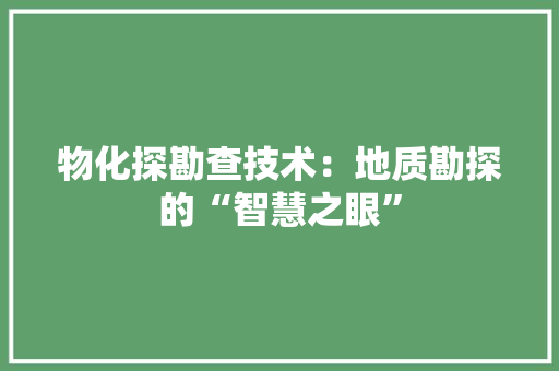 物化探勘查技术：地质勘探的“智慧之眼”