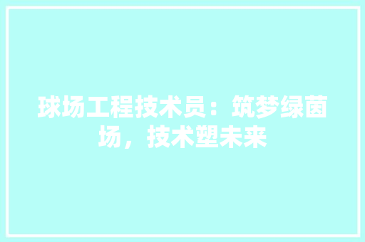 球场工程技术员：筑梦绿茵场，技术塑未来 室内设计