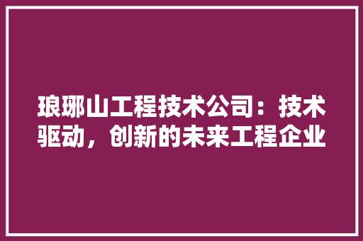 琅琊山工程技术公司：技术驱动，创新的未来工程企业 室内设计