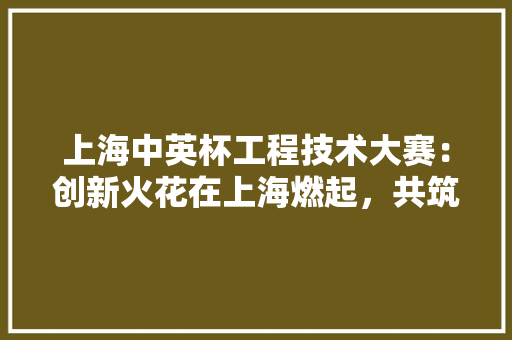 上海中英杯工程技术大赛：创新火花在上海燃起，共筑未来工程梦想
