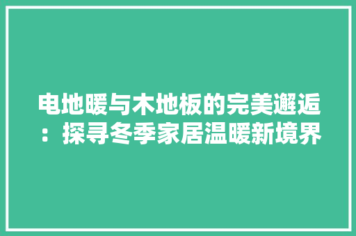 电地暖与木地板的完美邂逅：探寻冬季家居温暖新境界 室内设计