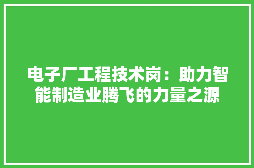 电子厂工程技术岗：助力智能制造业腾飞的力量之源 室内设计