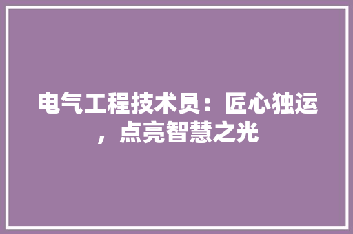 电气工程技术员：匠心独运，点亮智慧之光