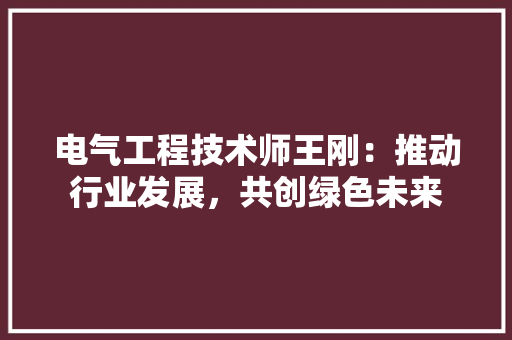 电气工程技术师王刚：推动行业发展，共创绿色未来