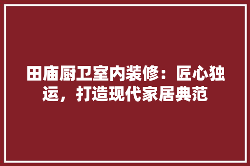 田庙厨卫室内装修：匠心独运，打造现代家居典范