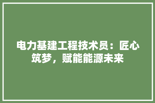 电力基建工程技术员：匠心筑梦，赋能能源未来 室内设计