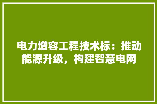 电力增容工程技术标：推动能源升级，构建智慧电网 室内设计
