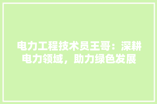电力工程技术员王哥：深耕电力领域，助力绿色发展 室内设计