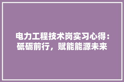 电力工程技术岗实习心得：砥砺前行，赋能能源未来