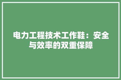 电力工程技术工作鞋：安全与效率的双重保障