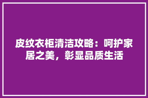 皮纹衣柜清洁攻略：呵护家居之美，彰显品质生活 室内设计
