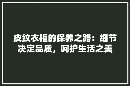 皮纹衣柜的保养之路：细节决定品质，呵护生活之美