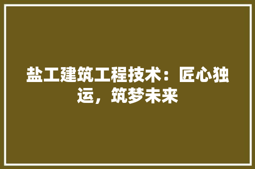 盐工建筑工程技术：匠心独运，筑梦未来 室内设计